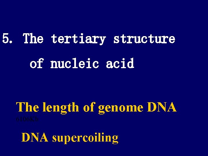 5. The tertiary structure of nucleic acid The length of genome DNA 6106 Kb