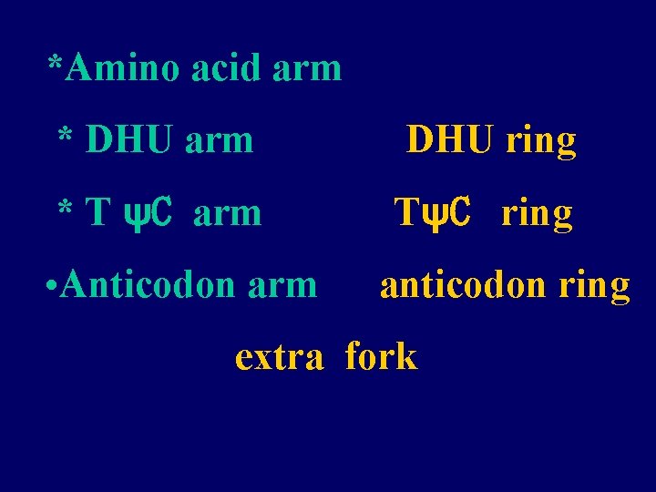 *Amino acid arm * DHU arm DHU ring * T ψC arm TψC ring