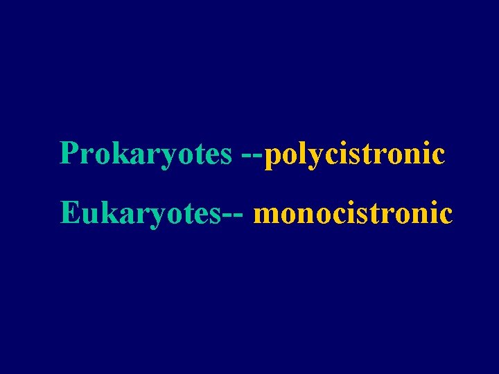 Prokaryotes --polycistronic Eukaryotes-- monocistronic 