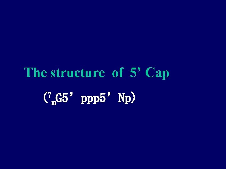 The structure of 5’ Cap (7 m. G 5’ppp 5’Np) 