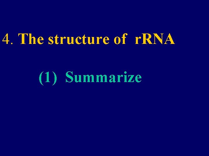 4. The structure of r. RNA (1) Summarize 