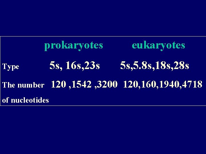 prokaryotes eukaryotes Type 5 s, 16 s, 23 s The number 120 , 1542