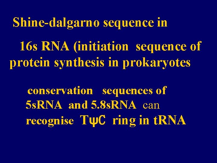 Shine-dalgarno sequence in 16 s RNA (initiation sequence of protein synthesis in prokaryotes conservation