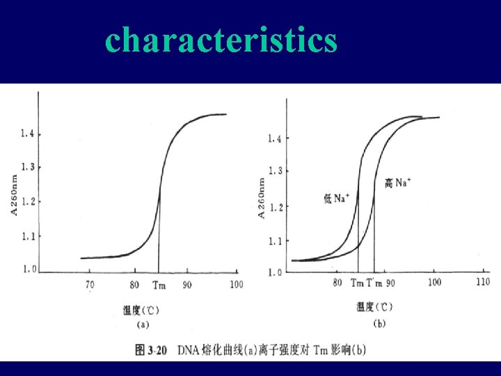 characteristics 