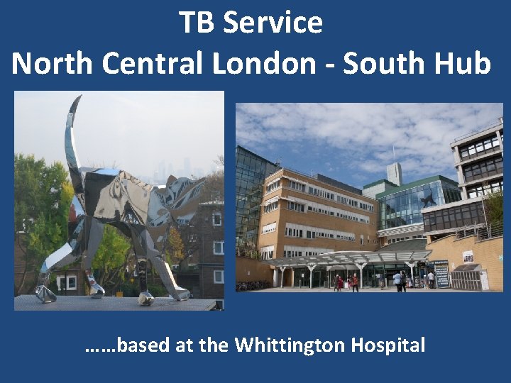 TB Service North Central London - South Hub ……based at the Whittington Hospital 