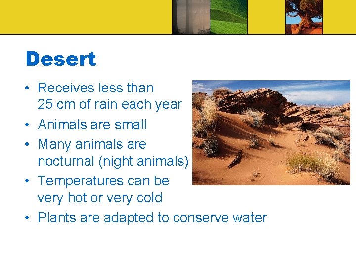 Desert • Receives less than 25 cm of rain each year • Animals are