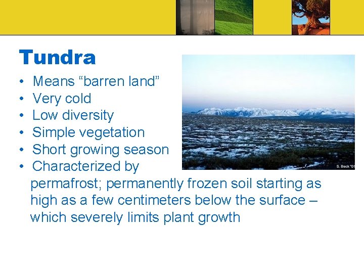 Tundra • • • Means “barren land” Very cold Low diversity Simple vegetation Short