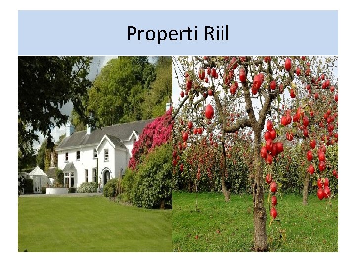 Properti Riil 