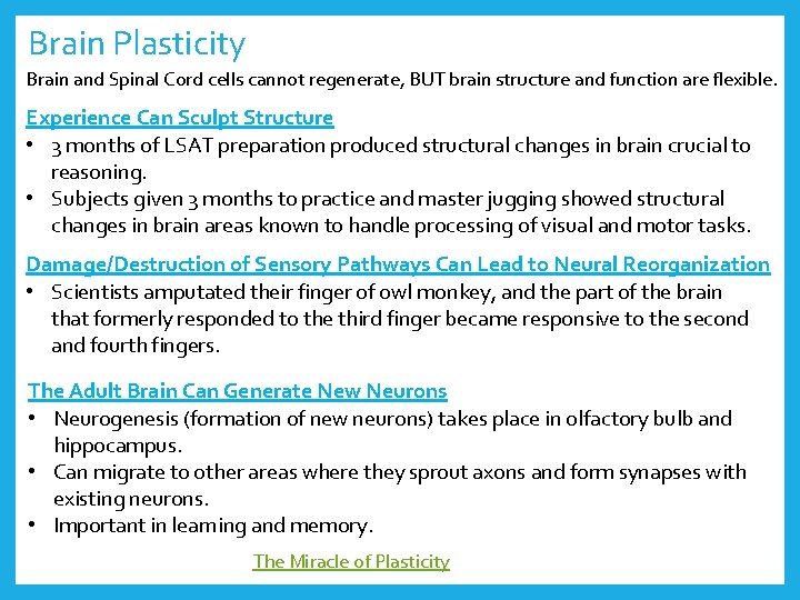 Brain Plasticity Brain and Spinal Cord cells cannot regenerate, BUT brain structure and function