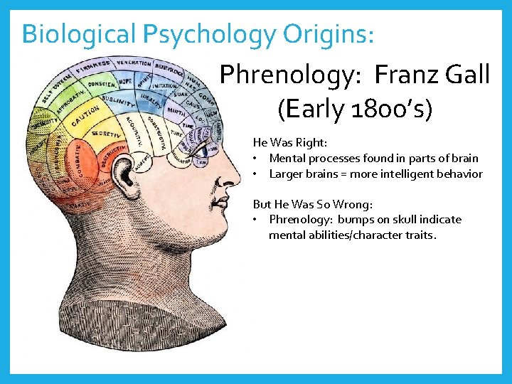 Biological Psychology Origins: Phrenology: Franz Gall (Early 1800’s) He Was Right: • Mental processes