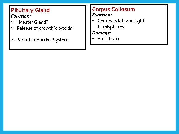 Pituitary Gland Function: • “Master Gland” • Release of growth/oxytocin **Part of Endocrine System