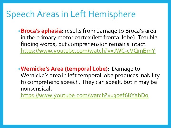 Speech Areas in Left Hemisphere • Broca’s aphasia: results from damage to Broca’s area