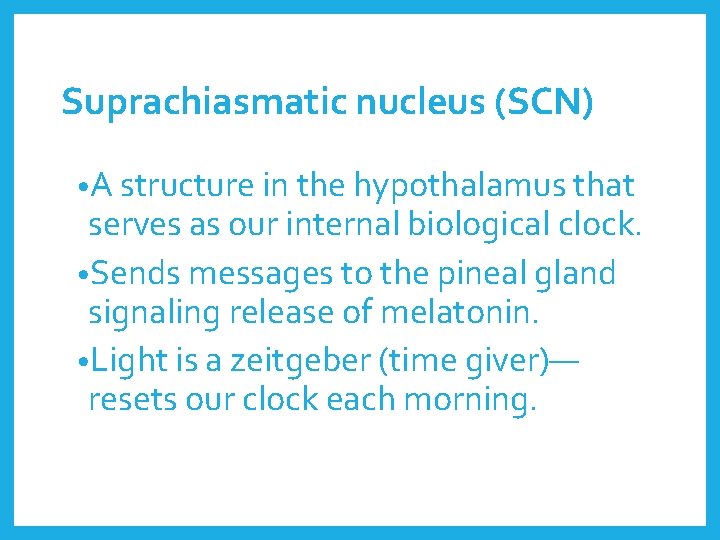 Suprachiasmatic nucleus (SCN) • A structure in the hypothalamus that serves as our internal