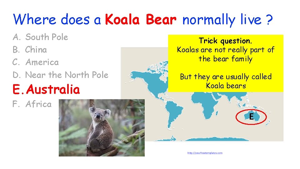 Where does a Koala Bear normally live ? A. B. C. D. South Pole