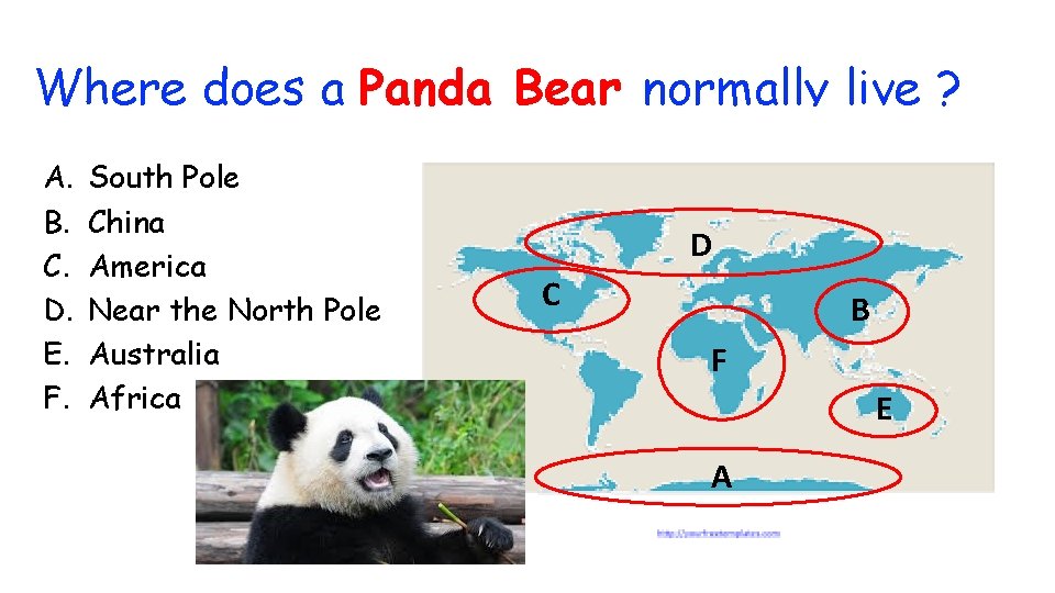 Where does a Panda Bear normally live ? A. B. C. D. E. F.