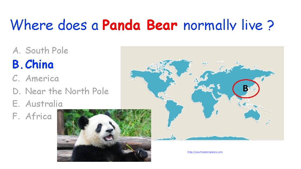 Where does a Panda Bear normally live ? A. South Pole B. China C.