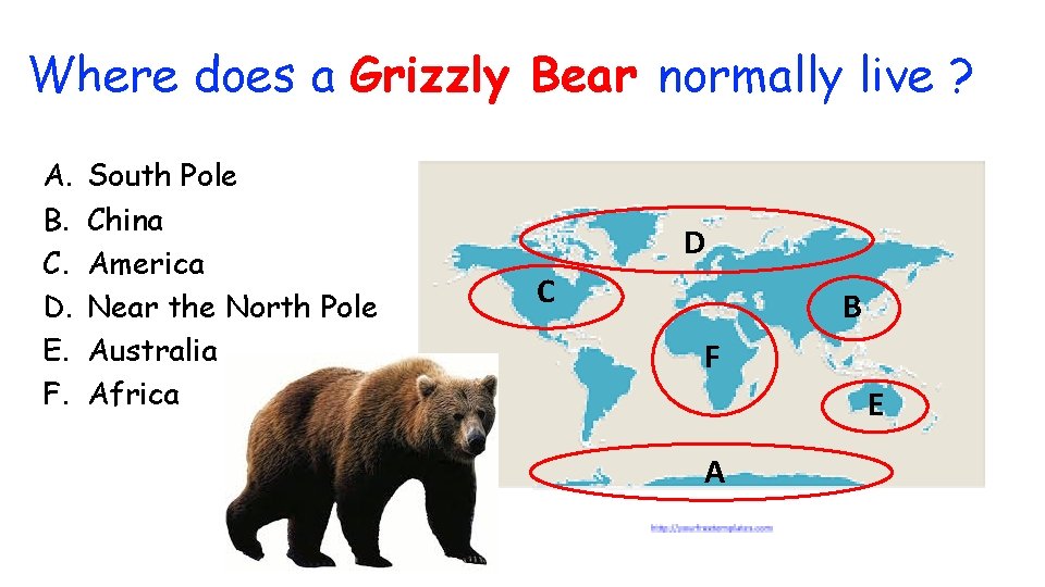Where does a Grizzly Bear normally live ? A. B. C. D. E. F.