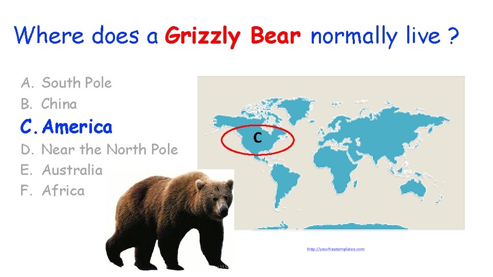 Where does a Grizzly Bear normally live ? A. South Pole B. China C.