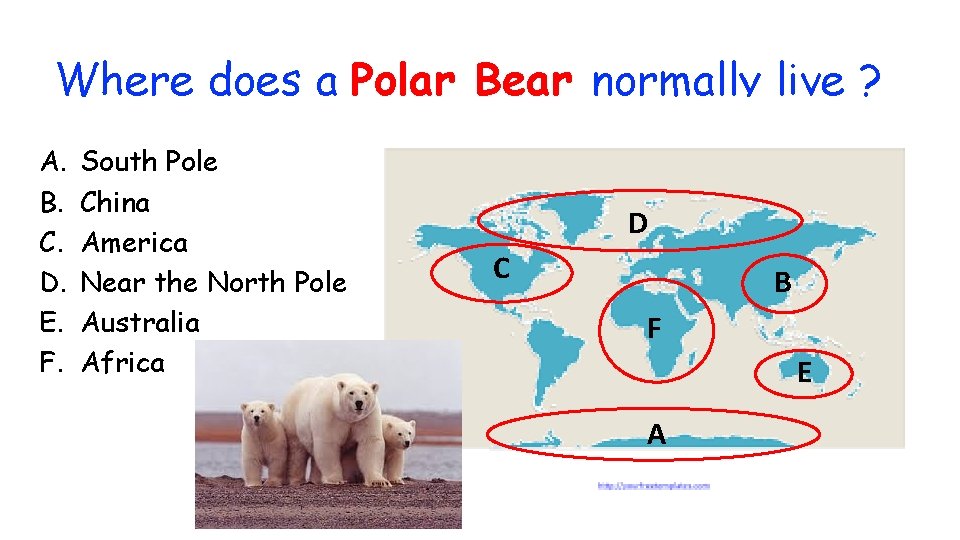 Where does a Polar Bear normally live ? A. B. C. D. E. F.