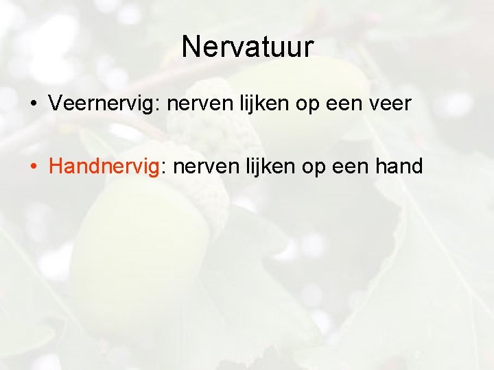 Nervatuur • Veernervig: nerven lijken op een veer • Handnervig: nerven lijken op een