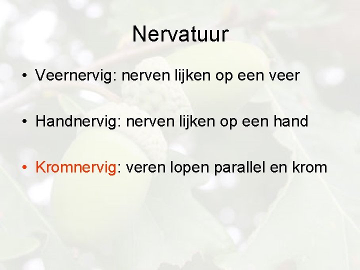 Nervatuur • Veernervig: nerven lijken op een veer • Handnervig: nerven lijken op een