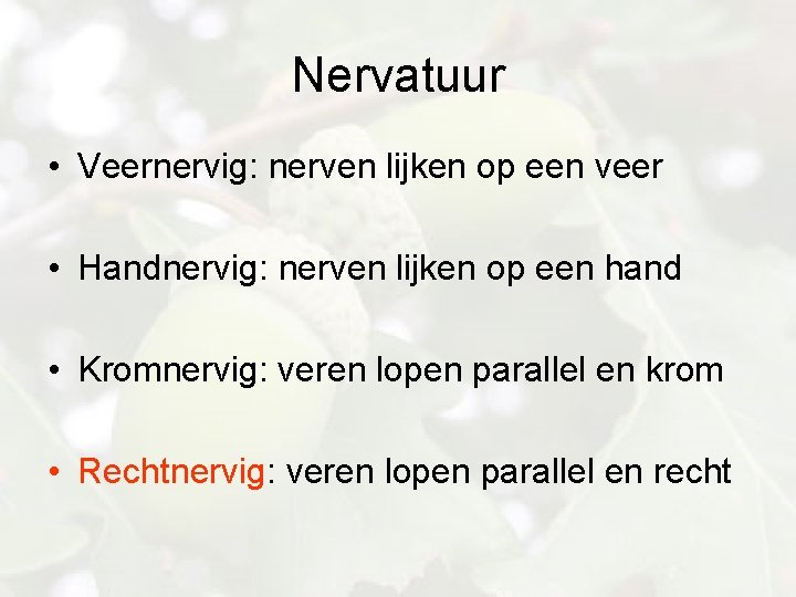 Nervatuur • Veernervig: nerven lijken op een veer • Handnervig: nerven lijken op een