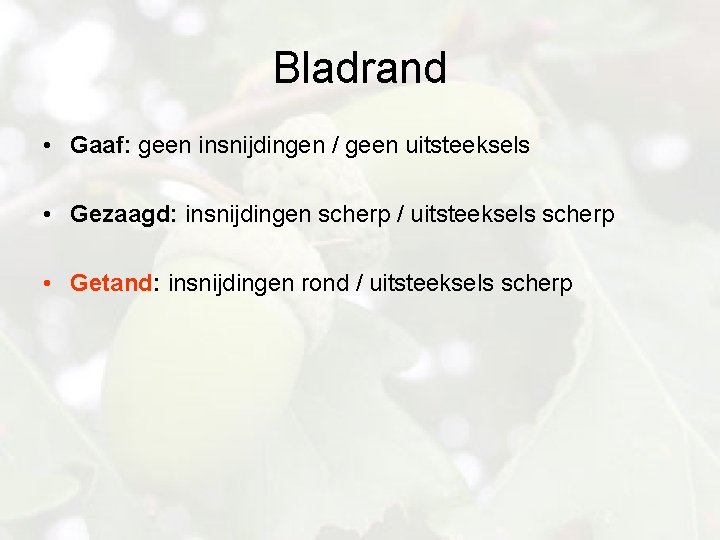 Bladrand • Gaaf: geen insnijdingen / geen uitsteeksels • Gezaagd: insnijdingen scherp / uitsteeksels