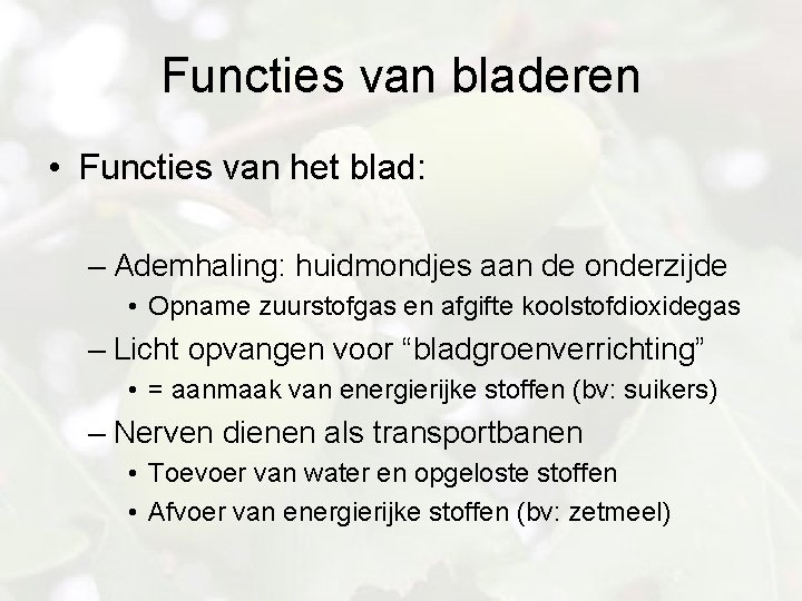 Functies van bladeren • Functies van het blad: – Ademhaling: huidmondjes aan de onderzijde