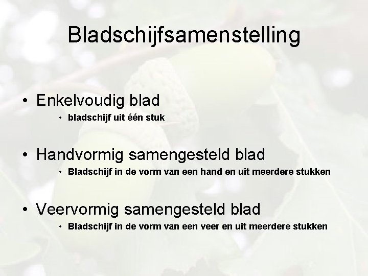 Bladschijfsamenstelling • Enkelvoudig blad • bladschijf uit één stuk • Handvormig samengesteld blad •