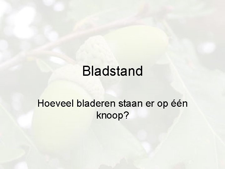 Bladstand Hoeveel bladeren staan er op één knoop? 