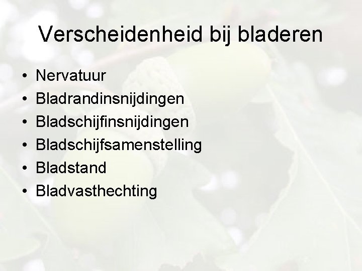 Verscheidenheid bij bladeren • • • Nervatuur Bladrandinsnijdingen Bladschijfsamenstelling Bladstand Bladvasthechting 