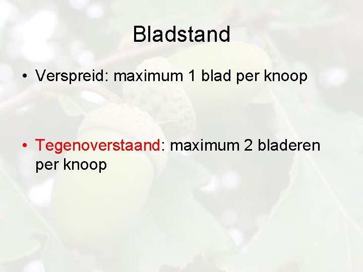 Bladstand • Verspreid: maximum 1 blad per knoop • Tegenoverstaand: maximum 2 bladeren per