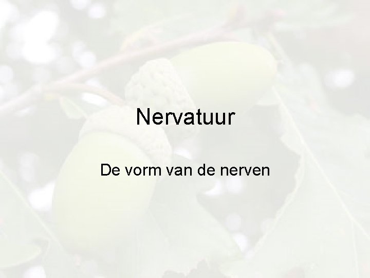 Nervatuur De vorm van de nerven 