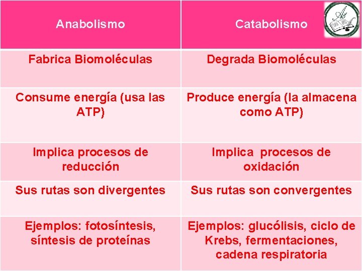 Anabolismo Catabolismo Fabrica Biomoléculas Degrada Biomoléculas Consume energía (usa las ATP) Produce energía (la