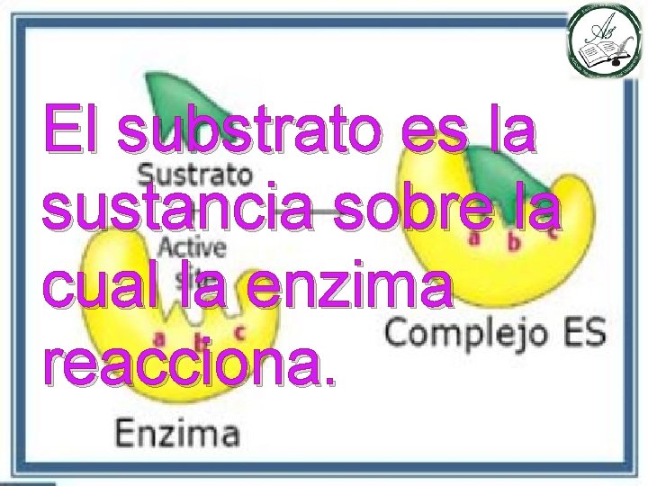 El substrato es la sustancia sobre la cual la enzima reacciona. 