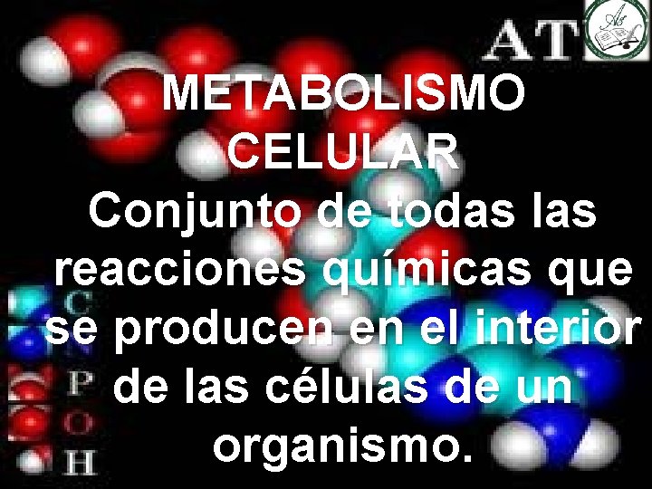 METABOLISMO CELULAR Conjunto de todas las reacciones químicas que se producen en el interior