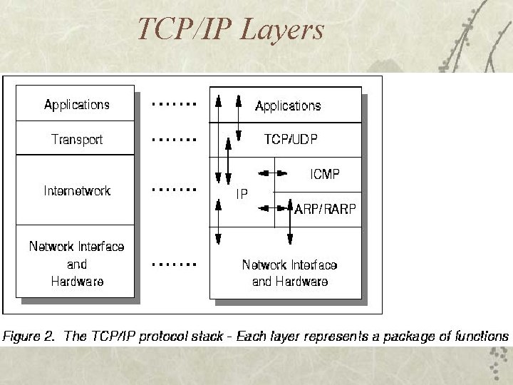 TCP/IP Layers 