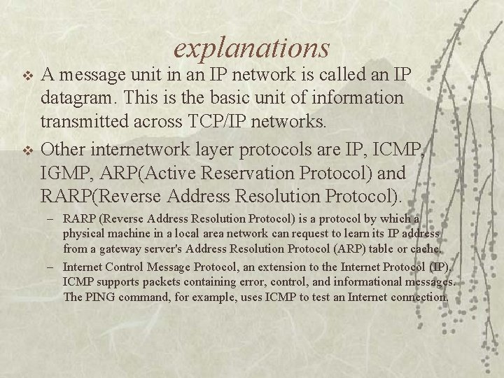 explanations v v A message unit in an IP network is called an IP