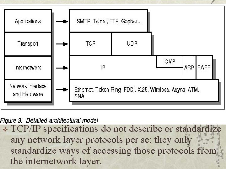 v TCP/IP specifications do not describe or standardize any network layer protocols per se;