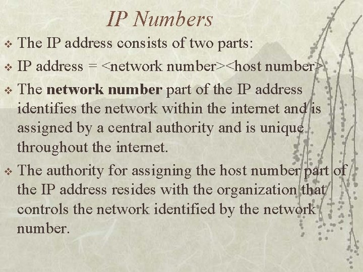 IP Numbers The IP address consists of two parts: v IP address = <network