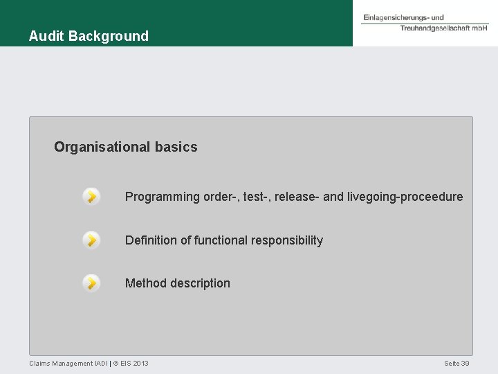Audit Background Organisational basics Programming order-, test-, release- and livegoing-proceedure Definition of functional responsibility