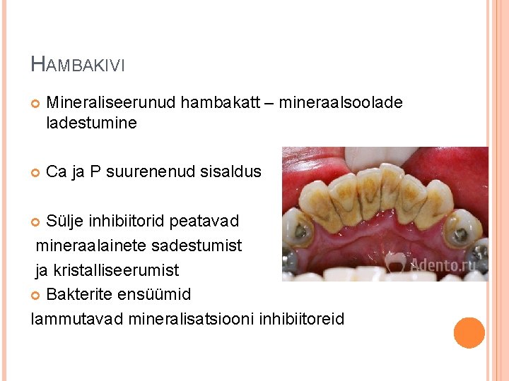 HAMBAKIVI Mineraliseerunud hambakatt – mineraalsooladestumine Ca ja P suurenenud sisaldus Sülje inhibiitorid peatavad mineraalainete