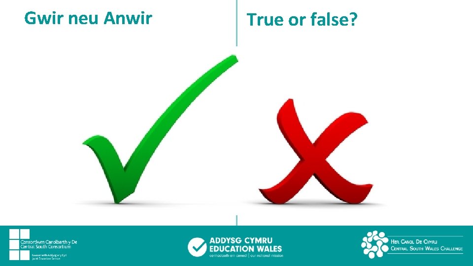 Gwir neu Anwir True or false? 