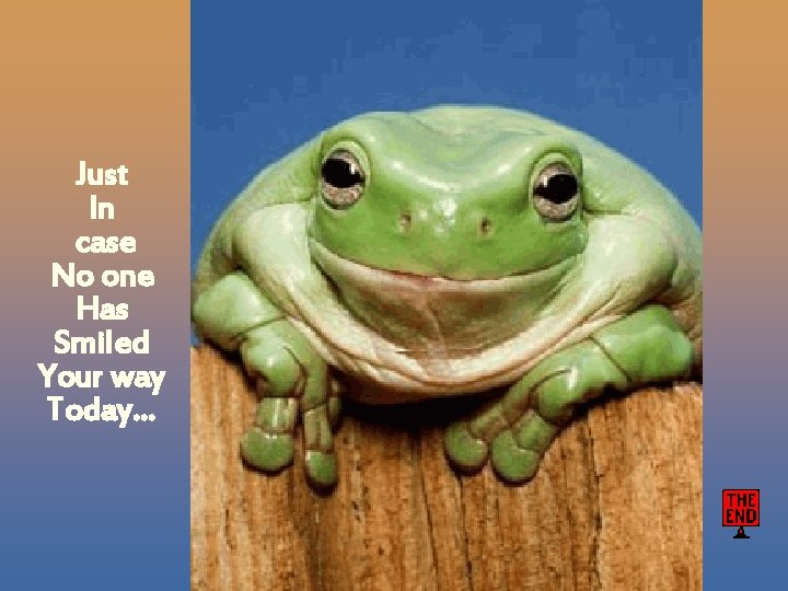Just In case No one Has Smiled Your way Today… 