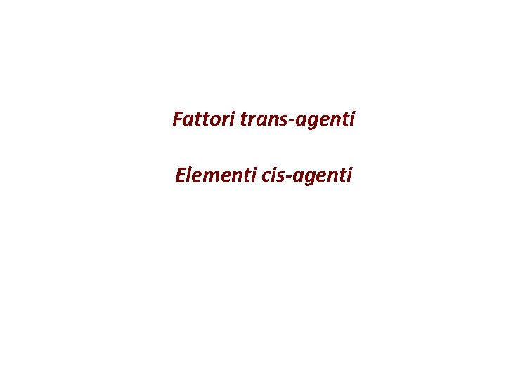 Fattori trans-agenti Elementi cis-agenti 