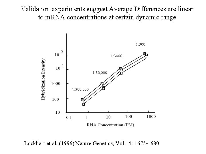 Validation experiments suggest Average Differences are linear to m. RNA concentrations at certain dynamic