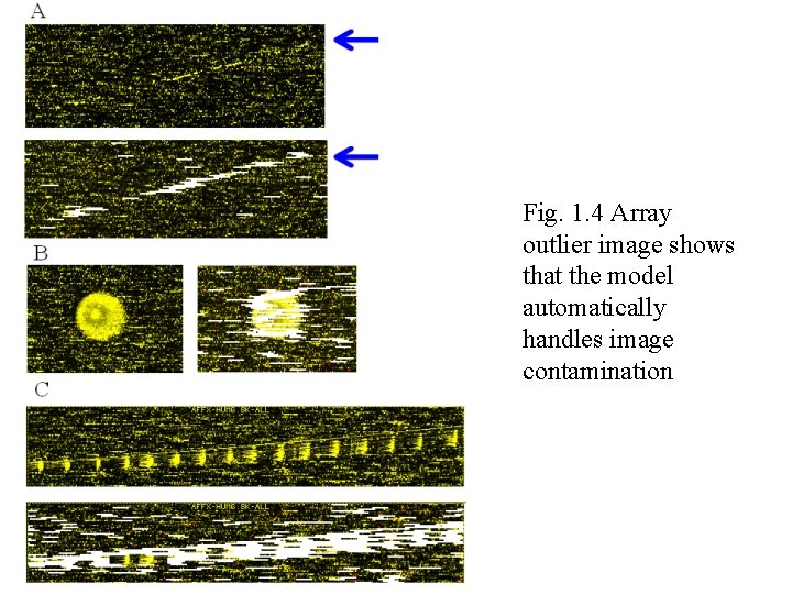 Fig. 1. 4 Array outlier image shows that the model automatically handles image contamination