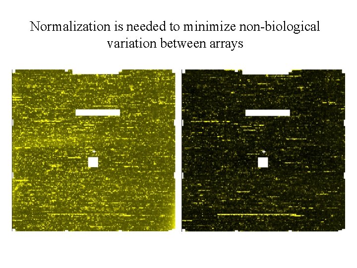 Normalization is needed to minimize non-biological variation between arrays 