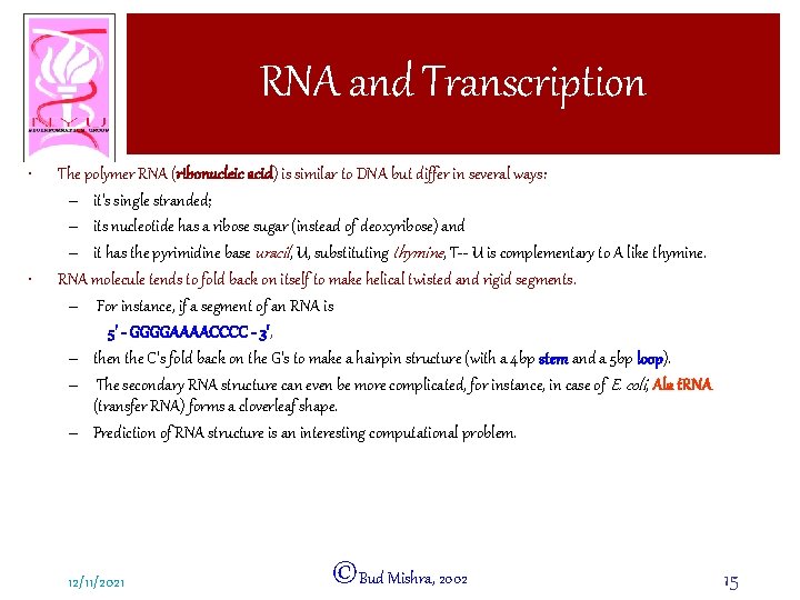 RNA and Transcription • • The polymer RNA (ribonucleic acid) is similar to DNA