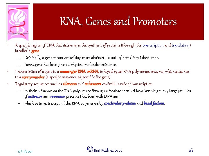 RNA, Genes and Promoters • • • A specific region of DNA that determines